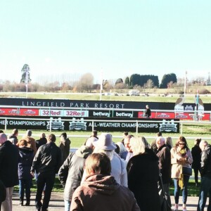 Lingfield Races